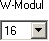 "16" as the "W-Modul" value.