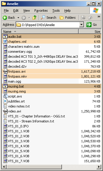 The example ripping folder now contains a "video.avi" file.